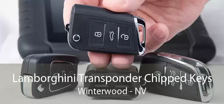 Lamborghini Transponder Chipped Keys Winterwood - NV