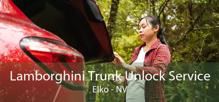 Lamborghini Trunk Unlock Service Elko - NV