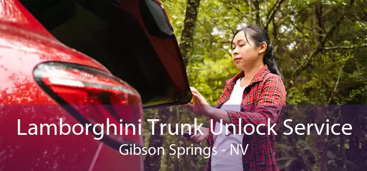 Lamborghini Trunk Unlock Service Gibson Springs - NV