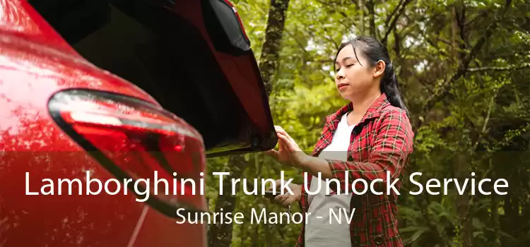 Lamborghini Trunk Unlock Service Sunrise Manor - NV