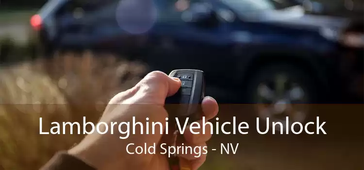 Lamborghini Vehicle Unlock Cold Springs - NV