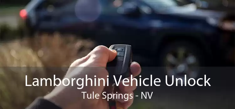Lamborghini Vehicle Unlock Tule Springs - NV
