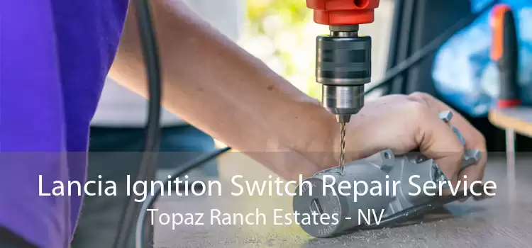 Lancia Ignition Switch Repair Service Topaz Ranch Estates - NV