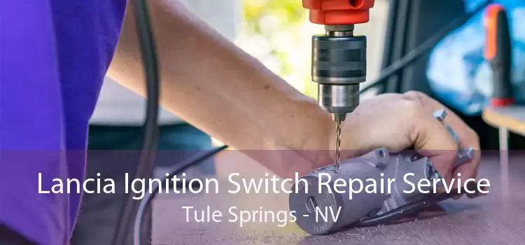 Lancia Ignition Switch Repair Service Tule Springs - NV