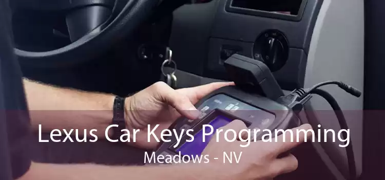 Lexus Car Keys Programming Meadows - NV