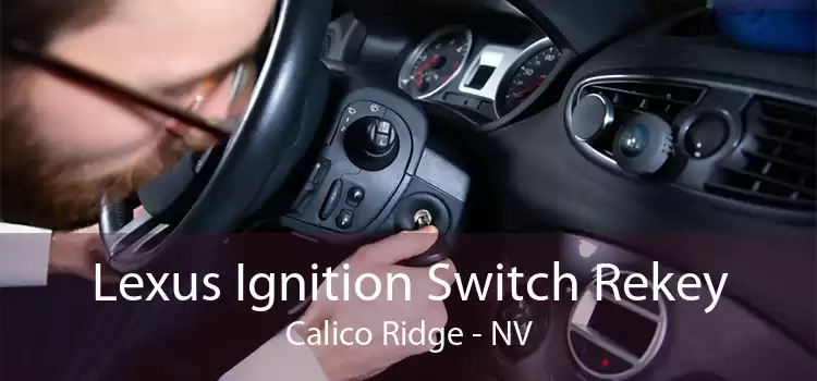 Lexus Ignition Switch Rekey Calico Ridge - NV