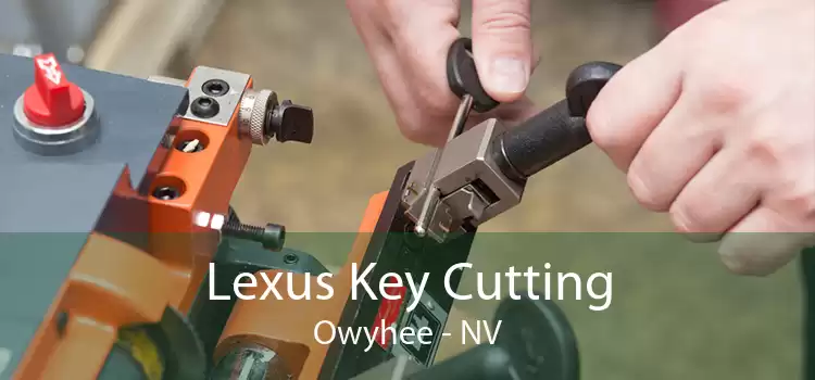 Lexus Key Cutting Owyhee - NV