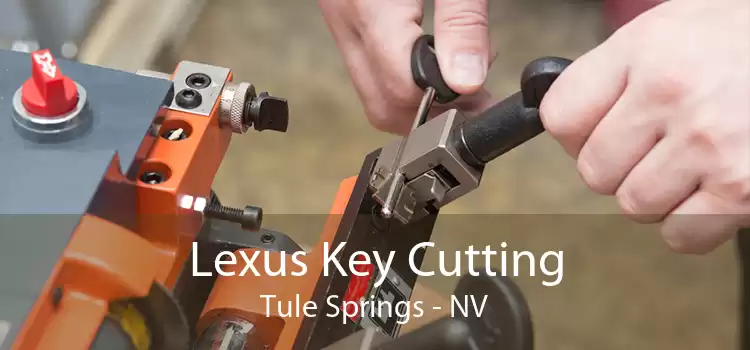 Lexus Key Cutting Tule Springs - NV