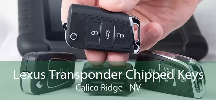 Lexus Transponder Chipped Keys Calico Ridge - NV