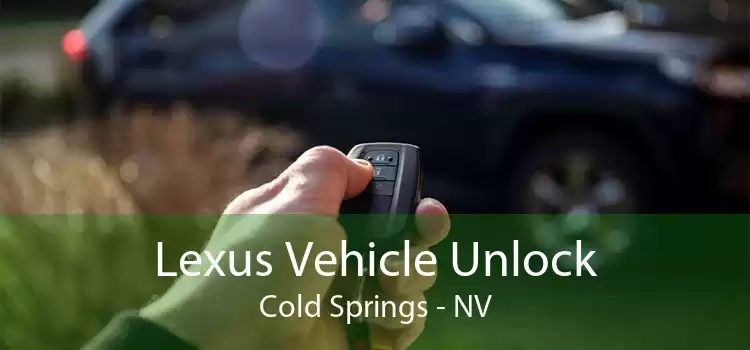 Lexus Vehicle Unlock Cold Springs - NV