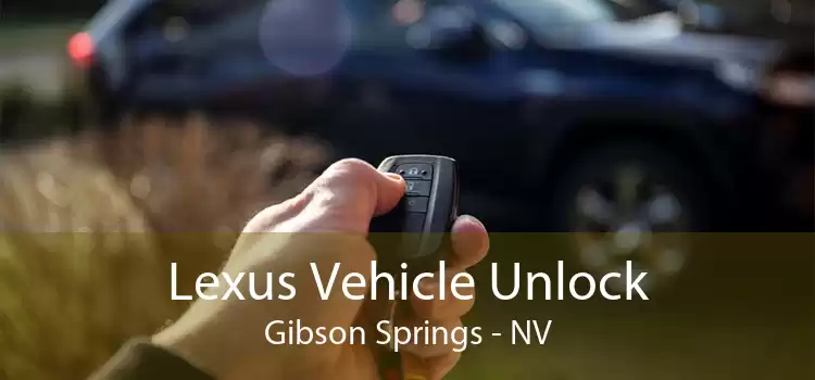 Lexus Vehicle Unlock Gibson Springs - NV