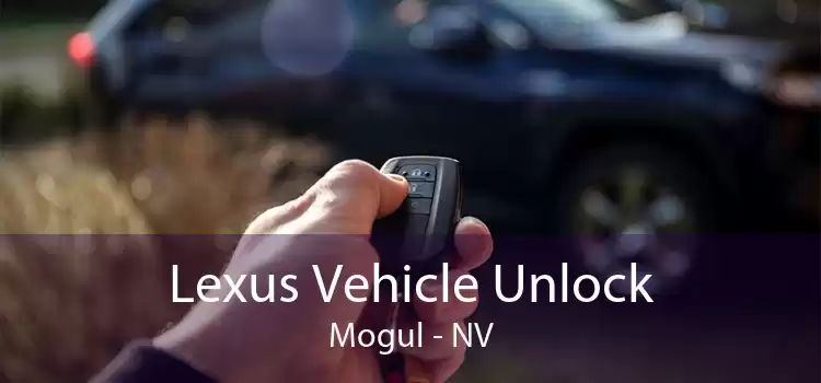Lexus Vehicle Unlock Mogul - NV