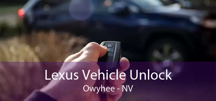 Lexus Vehicle Unlock Owyhee - NV