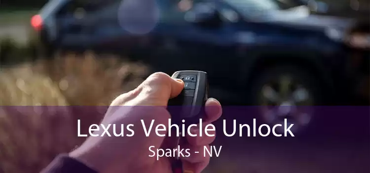 Lexus Vehicle Unlock Sparks - NV