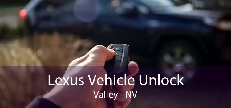 Lexus Vehicle Unlock Valley - NV