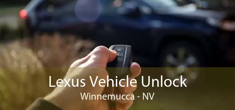 Lexus Vehicle Unlock Winnemucca - NV