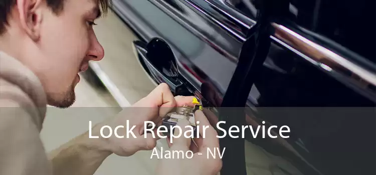 Lock Repair Service Alamo - NV