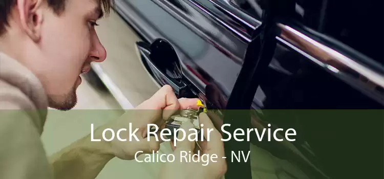 Lock Repair Service Calico Ridge - NV