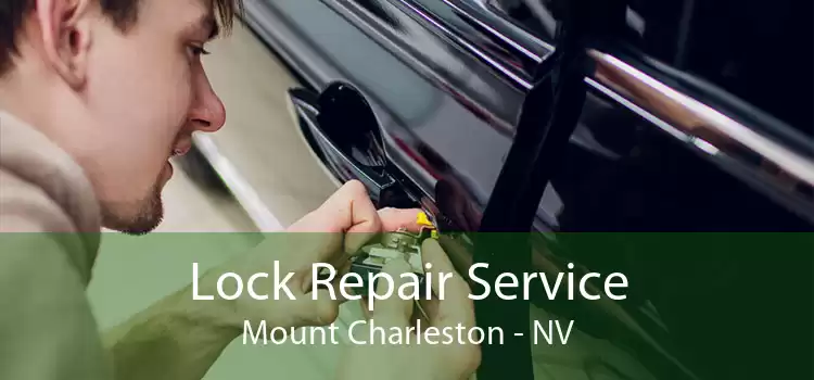 Lock Repair Service Mount Charleston - NV