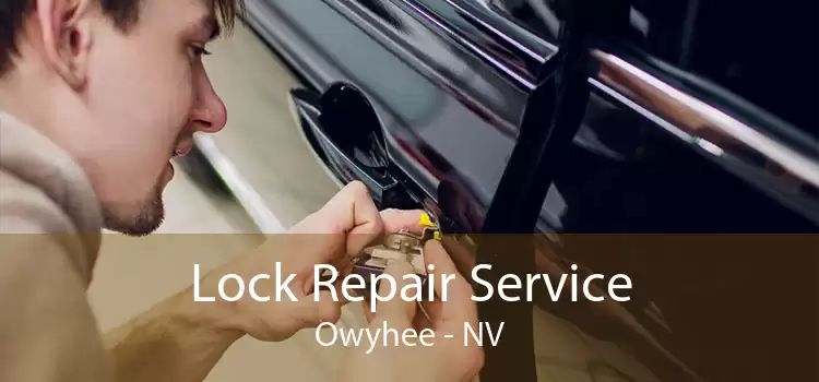 Lock Repair Service Owyhee - NV