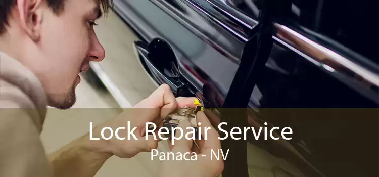 Lock Repair Service Panaca - NV