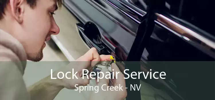 Lock Repair Service Spring Creek - NV
