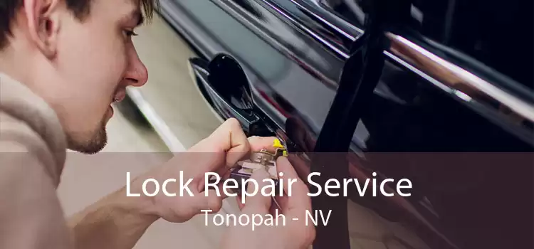 Lock Repair Service Tonopah - NV