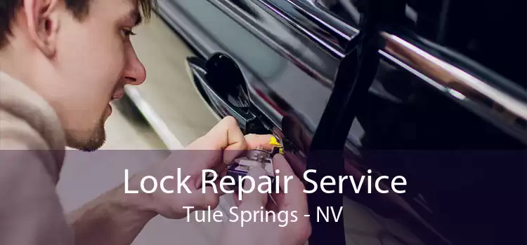 Lock Repair Service Tule Springs - NV