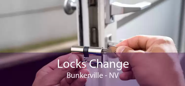 Locks Change Bunkerville - NV