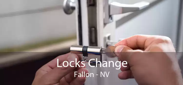 Locks Change Fallon - NV