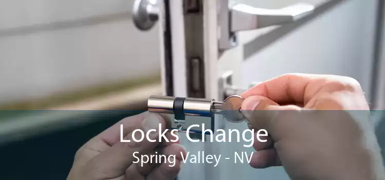 Locks Change Spring Valley - NV