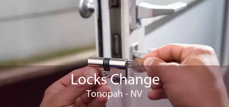 Locks Change Tonopah - NV