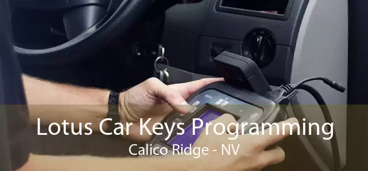 Lotus Car Keys Programming Calico Ridge - NV