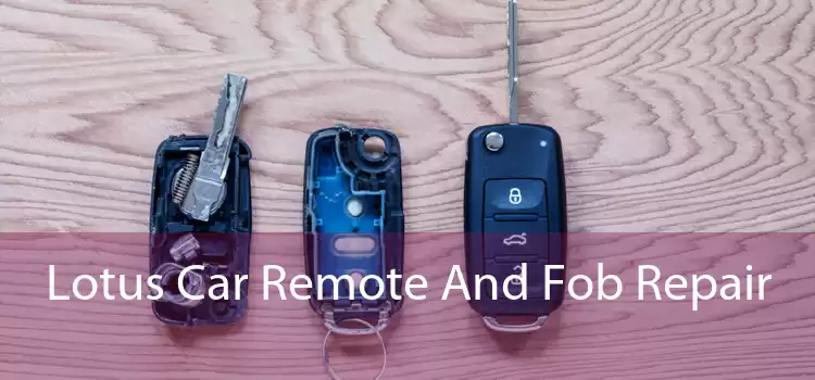 Lotus Car Remote And Fob Repair 