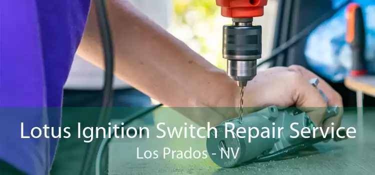 Lotus Ignition Switch Repair Service Los Prados - NV