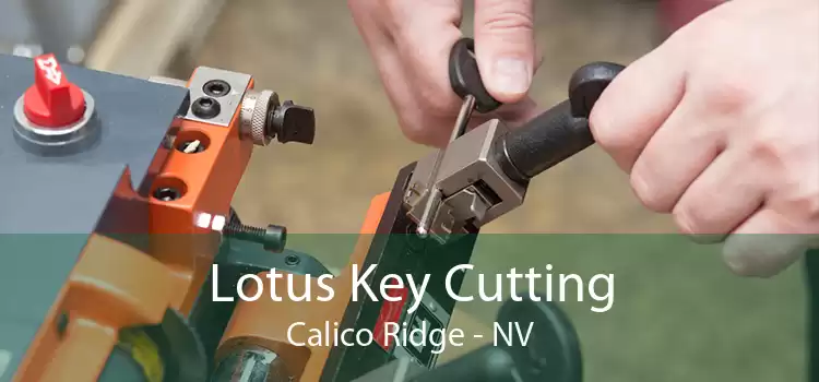 Lotus Key Cutting Calico Ridge - NV
