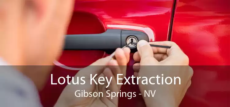 Lotus Key Extraction Gibson Springs - NV