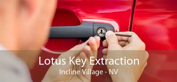 Lotus Key Extraction Incline Village - NV