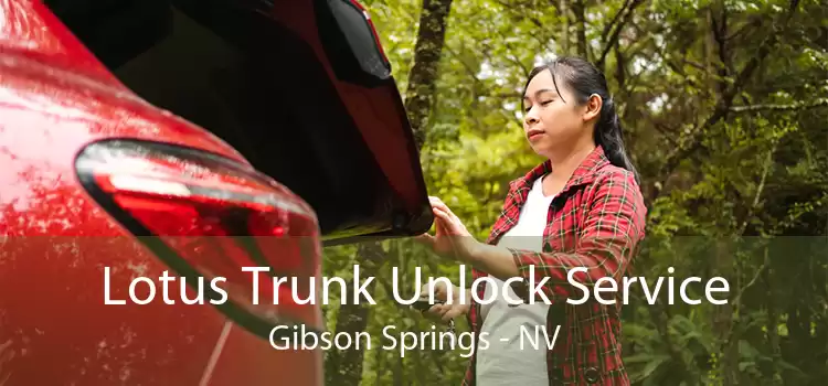 Lotus Trunk Unlock Service Gibson Springs - NV