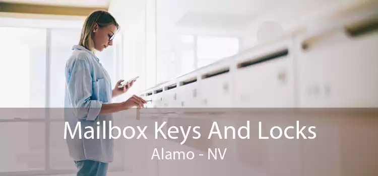Mailbox Keys And Locks Alamo - NV