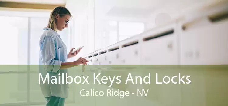 Mailbox Keys And Locks Calico Ridge - NV