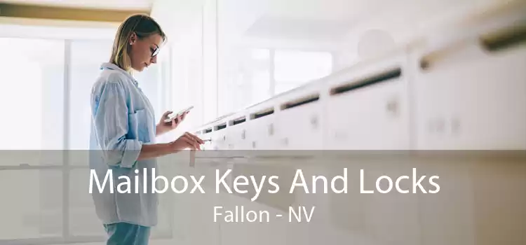 Mailbox Keys And Locks Fallon - NV