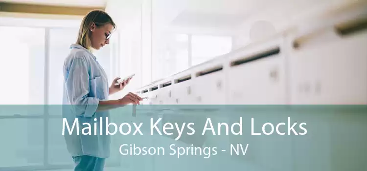 Mailbox Keys And Locks Gibson Springs - NV