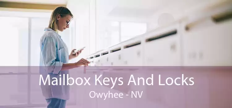 Mailbox Keys And Locks Owyhee - NV