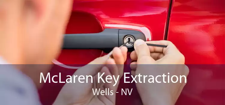 McLaren Key Extraction Wells - NV