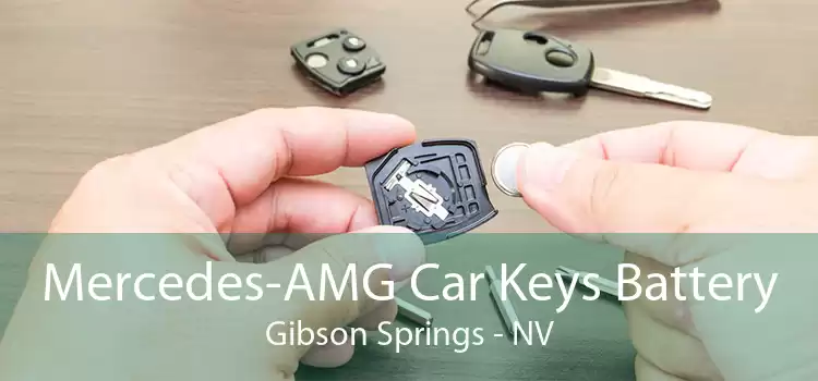 Mercedes-AMG Car Keys Battery Gibson Springs - NV