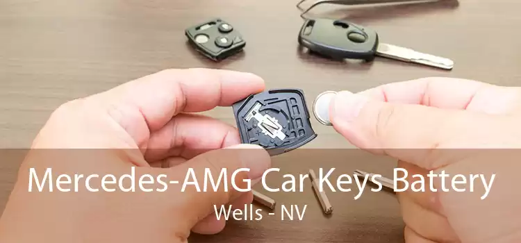 Mercedes-AMG Car Keys Battery Wells - NV