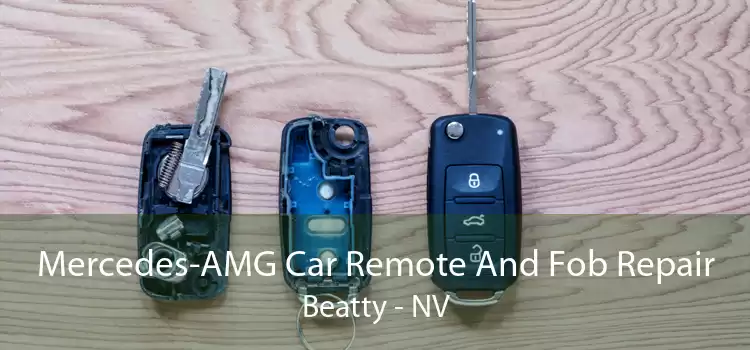 Mercedes-AMG Car Remote And Fob Repair Beatty - NV