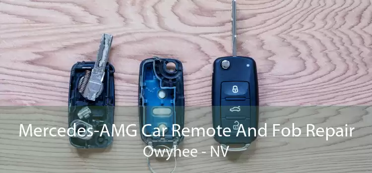 Mercedes-AMG Car Remote And Fob Repair Owyhee - NV