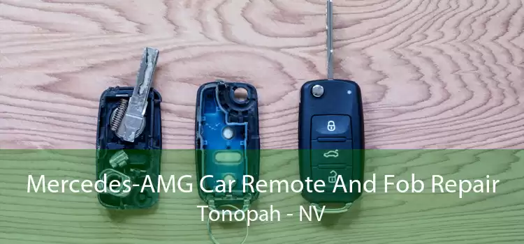 Mercedes-AMG Car Remote And Fob Repair Tonopah - NV